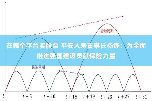 在哪个平台买股票 平安人寿董事长杨铮：为全面推进强国建设贡献保险力量