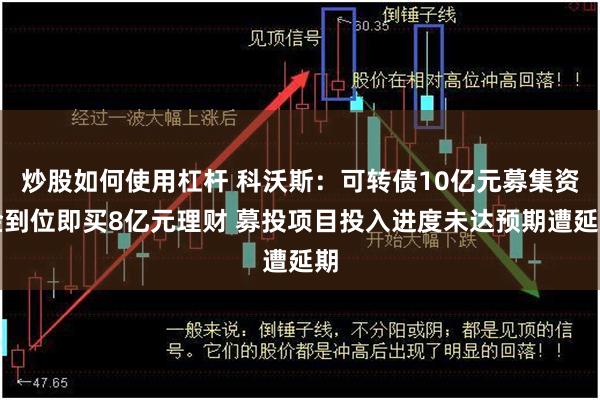 炒股如何使用杠杆 科沃斯：可转债10亿元募集资金到位即买8亿元理财 募投项目投入进度未达预期遭延期