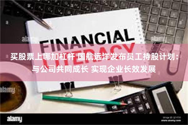 买股票上哪加杠杆 国航远洋发布员工持股计划：与公司共同成长 实现企业长效发展