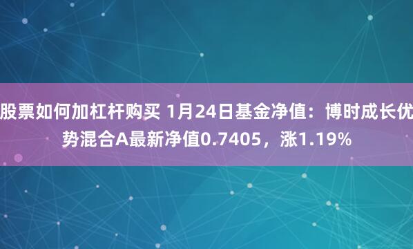 股票如何加杠杆购买 1月24日基金净值：博时成长优势混合A最新净值0.7405，涨1.19%