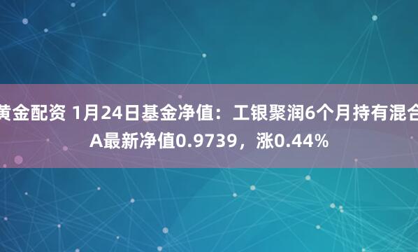 黄金配资 1月24日基金净值：工银聚润6个月持有混合A最新净值0.9739，涨0.44%