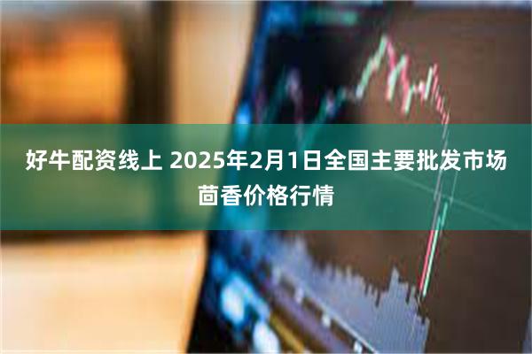 好牛配资线上 2025年2月1日全国主要批发市场茴香价格行情