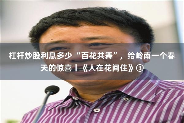 杠杆炒股利息多少 “百花共舞”，给岭南一个春天的惊喜丨《人在花间住》③