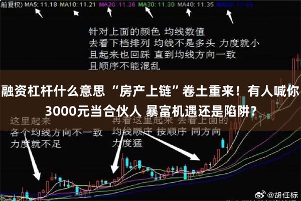 融资杠杆什么意思 “房产上链”卷土重来！有人喊你3000元当合伙人 暴富机遇还是陷阱？