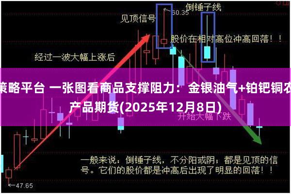 策略平台 一张图看商品支撑阻力：金银油气+铂钯铜农产品期货(2025年12月8日)