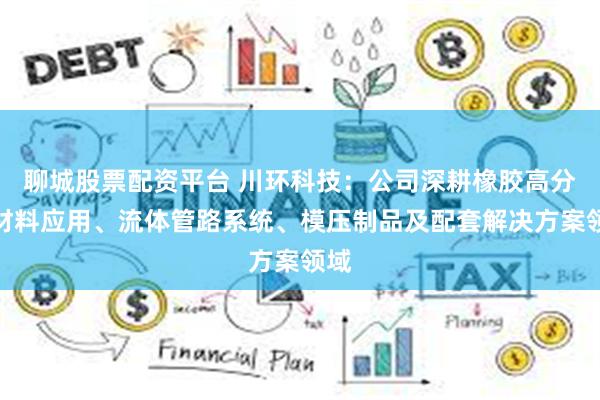 聊城股票配资平台 川环科技：公司深耕橡胶高分子材料应用、流体管路系统、模压制品及配套解决方案领域